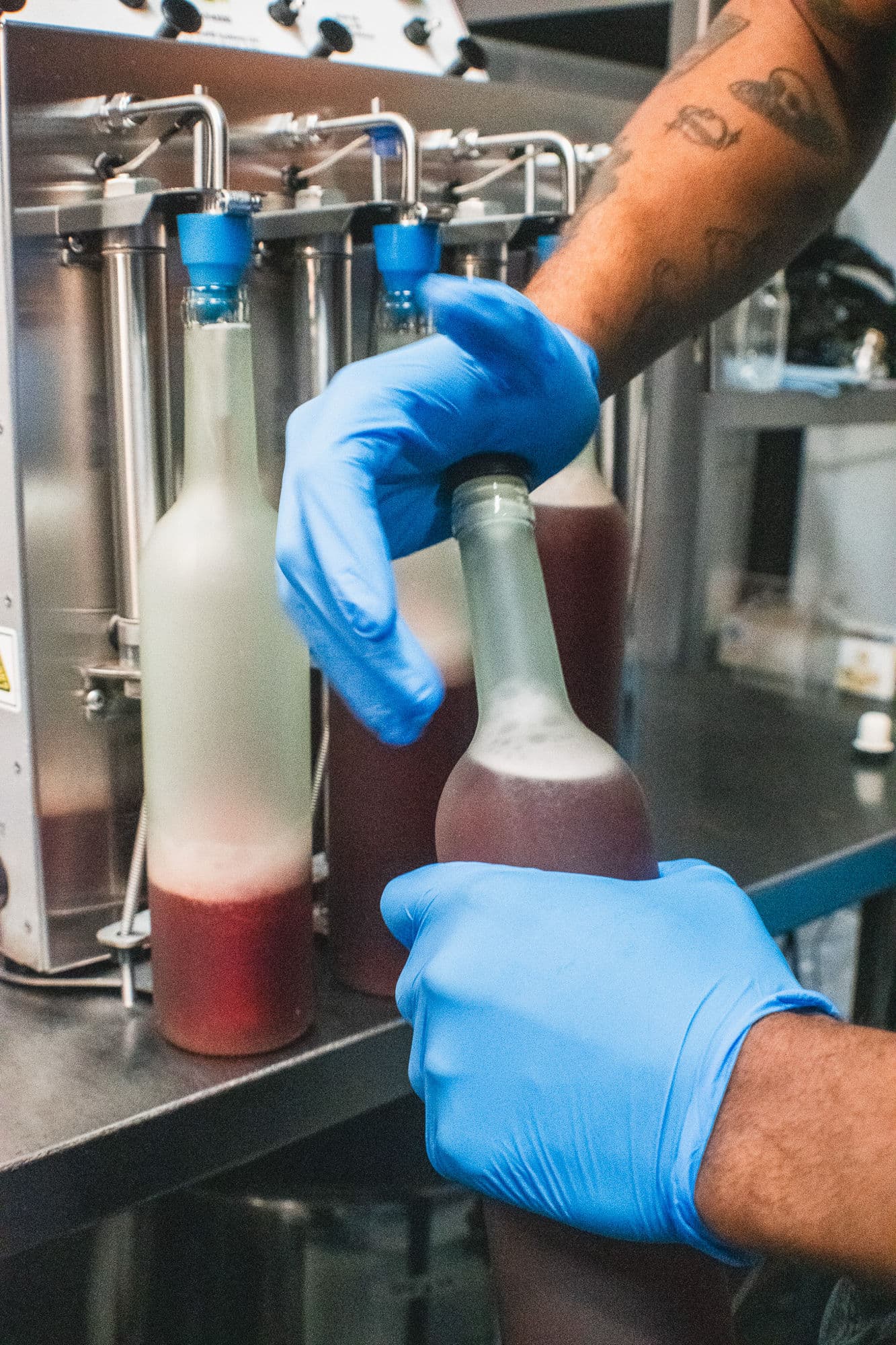 Blue-gloved hands filling bottles on the Wandering Barman production line